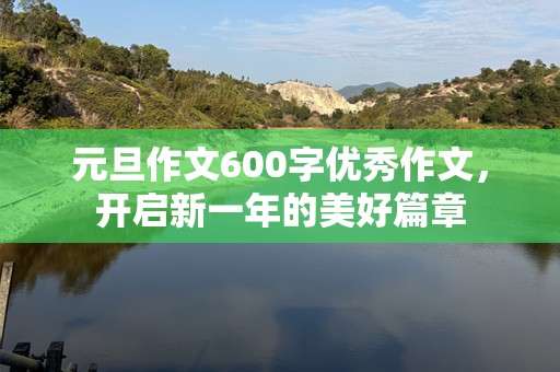 元旦作文600字优秀作文，开启新一年的美好篇章