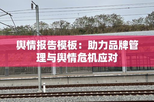 舆情报告模板：助力品牌管理与舆情危机应对