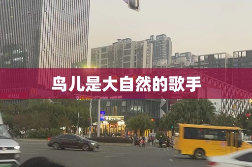 鸟儿是大自然的歌手