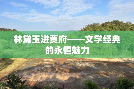 林黛玉进贾府——文学经典的永恒魅力