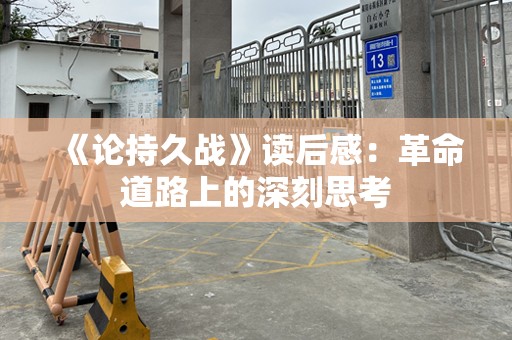 《论持久战》读后感：革命道路上的深刻思考