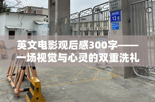 英文电影观后感300字——一场视觉与心灵的双重洗礼