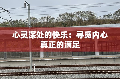 心灵深处的快乐：寻觅内心真正的满足