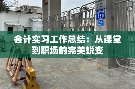 会计实习工作总结：从课堂到职场的完美蜕变