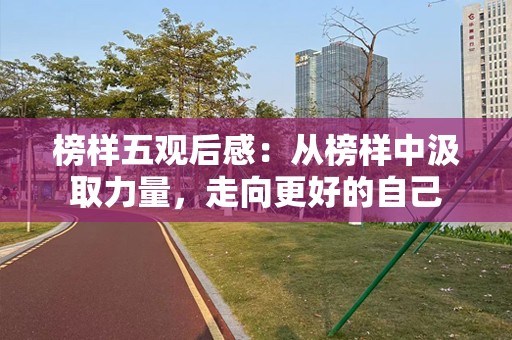榜样五观后感：从榜样中汲取力量，走向更好的自己