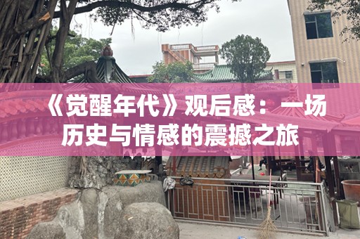 《觉醒年代》观后感：一场历史与情感的震撼之旅