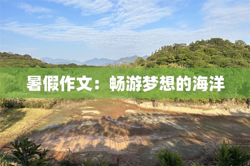 暑假作文：畅游梦想的海洋