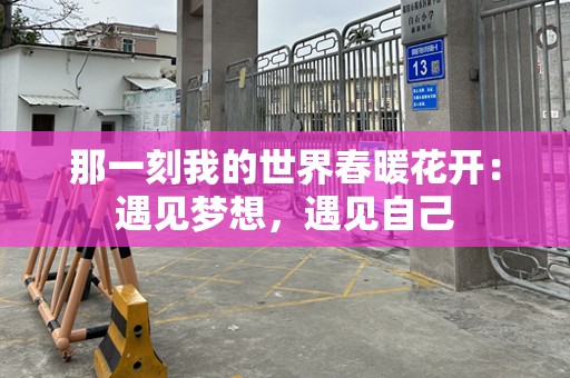 那一刻我的世界春暖花开：遇见梦想，遇见自己