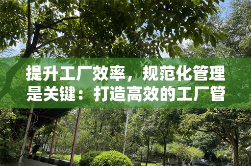 提升工厂效率，规范化管理是关键：打造高效的工厂管理规章制度