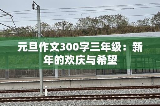 元旦作文300字三年级：新年的欢庆与希望
