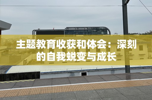 主题教育收获和体会：深刻的自我蜕变与成长