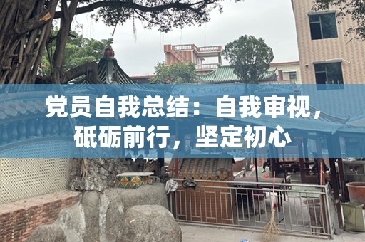 党员自我总结：自我审视，砥砺前行，坚定初心
