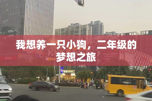 我想养一只小狗，二年级的梦想之旅
