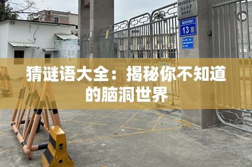 猜谜语大全：揭秘你不知道的脑洞世界