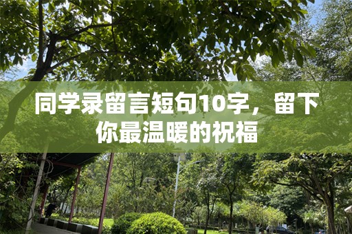 同学录留言短句10字，留下你最温暖的祝福