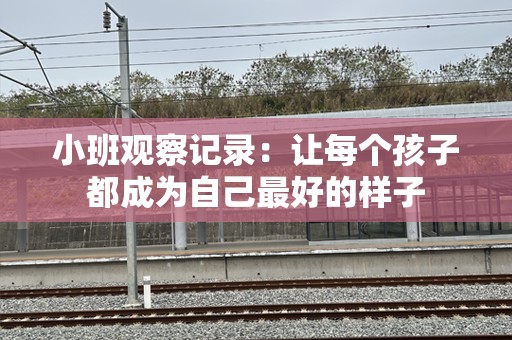 小班观察记录：让每个孩子都成为自己最好的样子