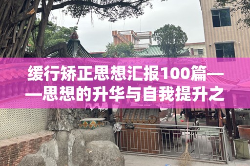 缓行矫正思想汇报100篇——思想的升华与自我提升之路