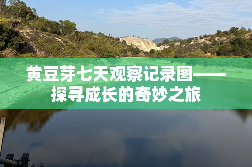 黄豆芽七天观察记录图——探寻成长的奇妙之旅
