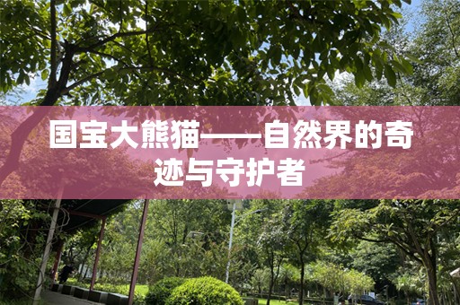国宝大熊猫——自然界的奇迹与守护者