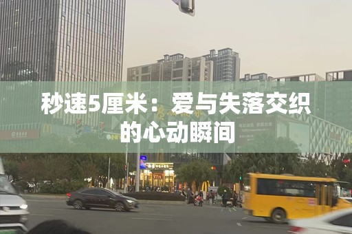 秒速5厘米：爱与失落交织的心动瞬间