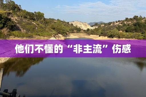 他们不懂的“非主流”伤感