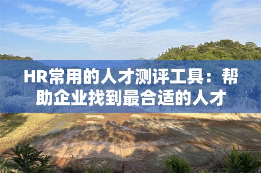 HR常用的人才测评工具：帮助企业找到最合适的人才