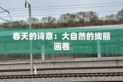 春天的诗意：大自然的绚丽画卷
