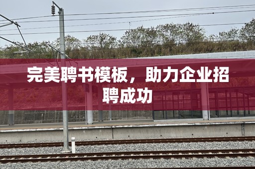 完美聘书模板，助力企业招聘成功