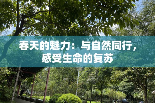 春天的魅力：与自然同行，感受生命的复苏