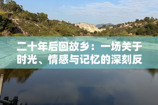 二十年后回故乡：一场关于时光、情感与记忆的深刻反思