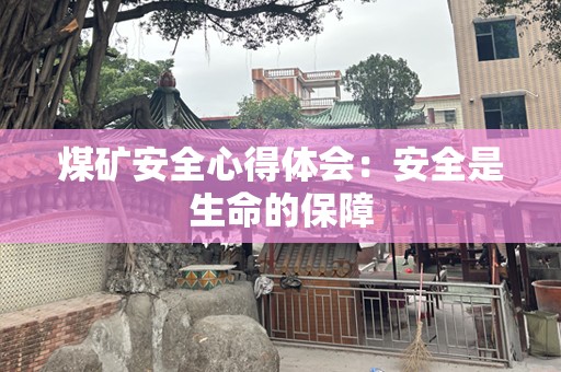 煤矿安全心得体会：安全是生命的保障
