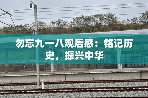 勿忘九一八观后感：铭记历史，振兴中华