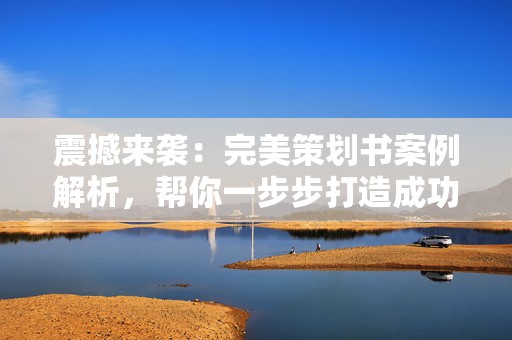 震撼来袭：完美策划书案例解析，帮你一步步打造成功项目