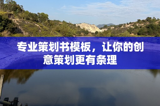 专业策划书模板，让你的创意策划更有条理