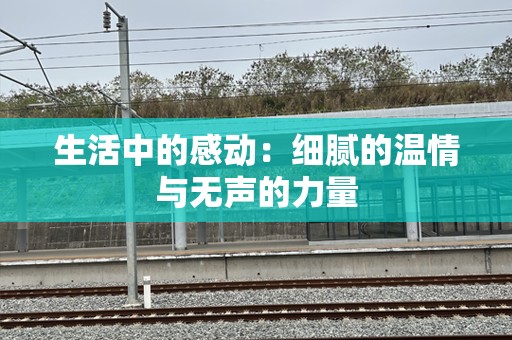 生活中的感动：细腻的温情与无声的力量