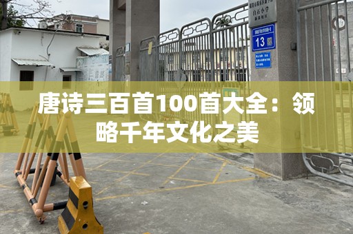 唐诗三百首100首大全：领略千年文化之美