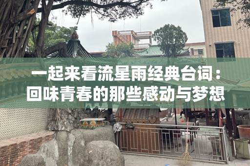 一起来看流星雨经典台词：回味青春的那些感动与梦想