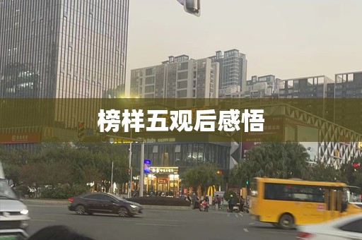 榜样五观后感悟