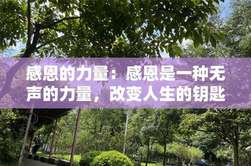 感恩的力量：感恩是一种无声的力量，改变人生的钥匙