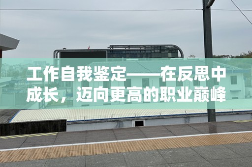 工作自我鉴定——在反思中成长，迈向更高的职业巅峰
