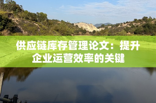 供应链库存管理论文：提升企业运营效率的关键