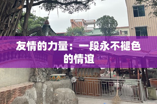 友情的力量：一段永不褪色的情谊
