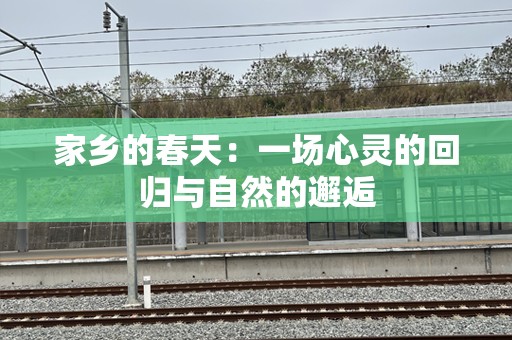 家乡的春天：一场心灵的回归与自然的邂逅