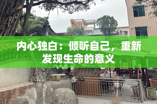 内心独白：倾听自己，重新发现生命的意义