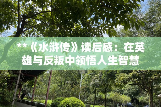 **《水浒传》读后感：在英雄与反叛中领悟人生智慧