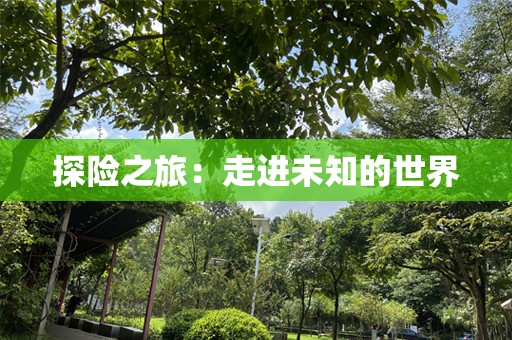 探险之旅：走进未知的世界