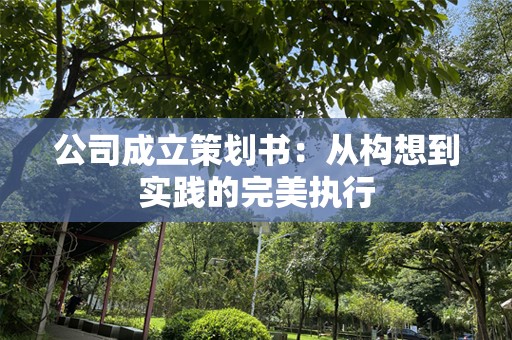 公司成立策划书：从构想到实践的完美执行