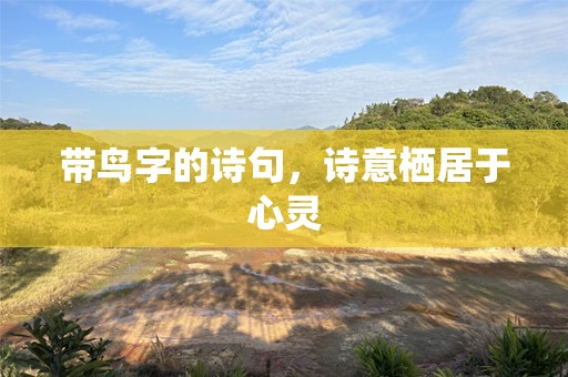 带鸟字的诗句，诗意栖居于心灵