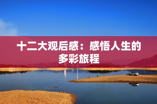 十二大观后感：感悟人生的多彩旅程