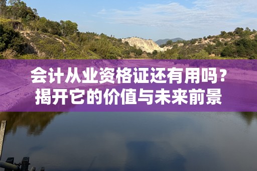 会计从业资格证还有用吗？揭开它的价值与未来前景